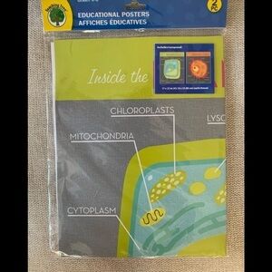 Educational Posters Plant Cell & Animal Cell